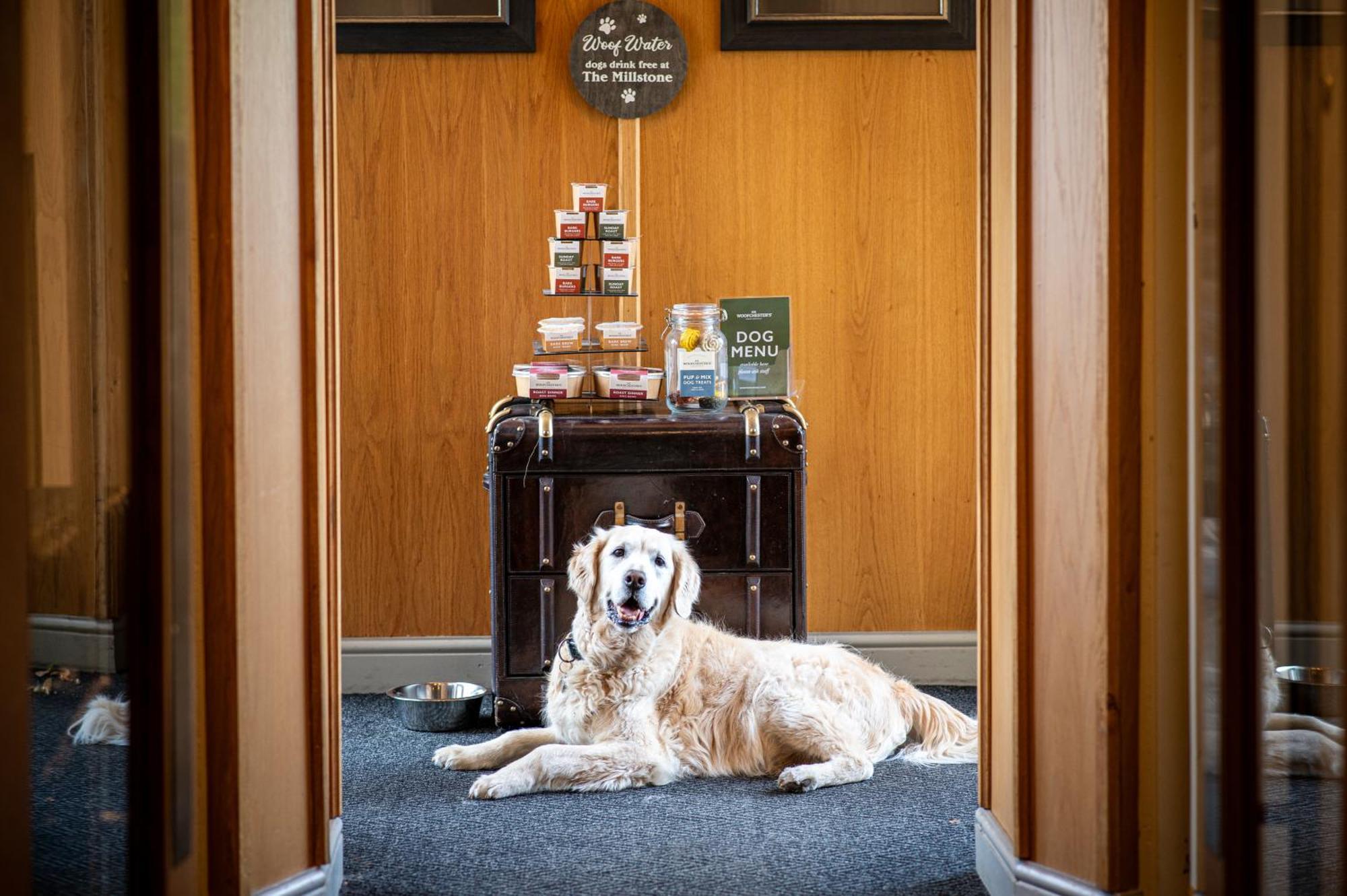 The Millstone, Mellor 호텔 블랙번 외부 사진 The Dog Room